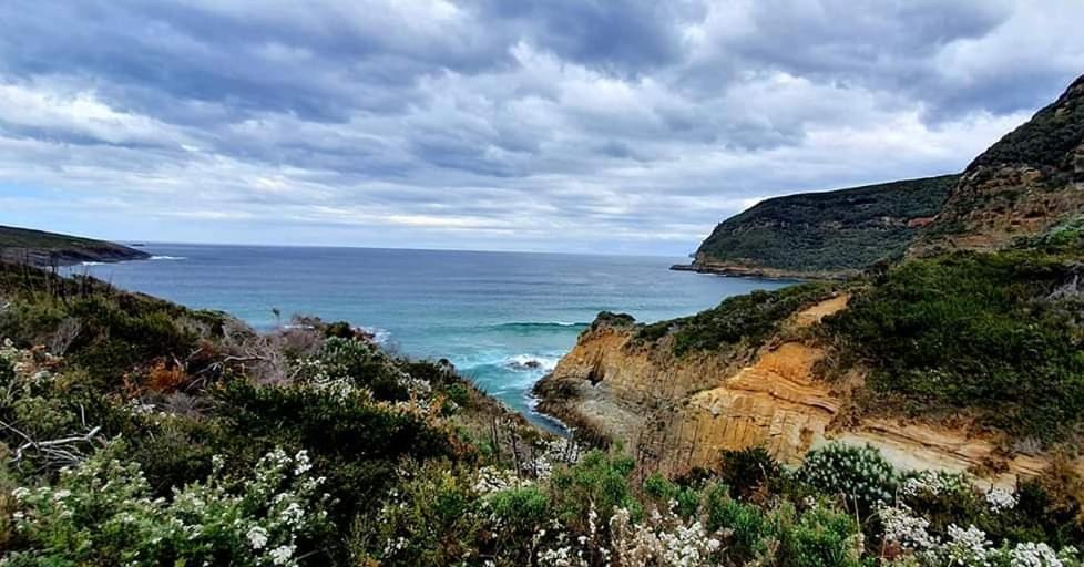 Ruby'S Cottage Farm Stay Port Arthur Εξωτερικό φωτογραφία