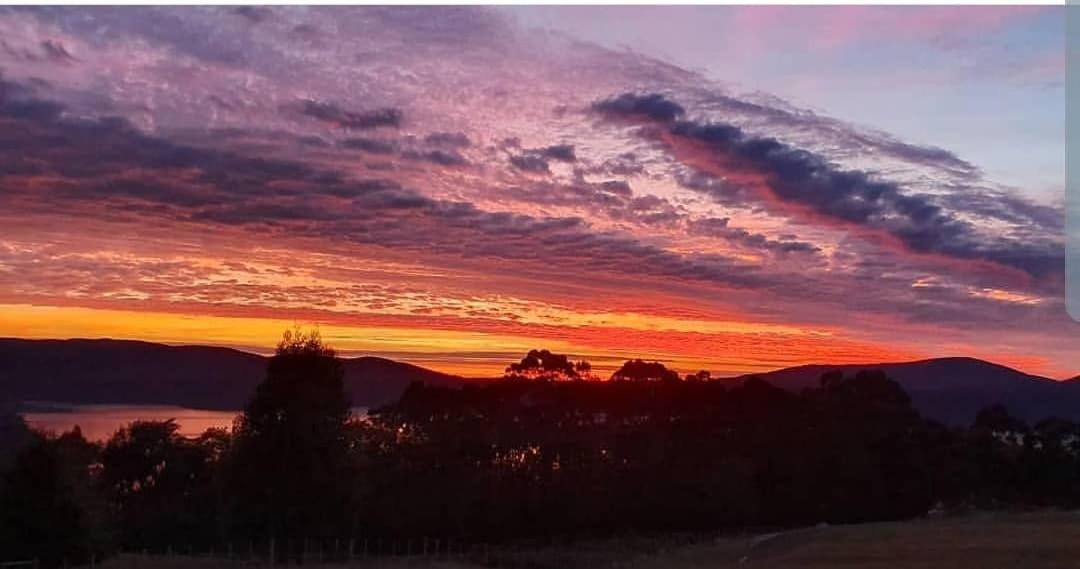 Ruby'S Cottage Farm Stay Port Arthur Εξωτερικό φωτογραφία