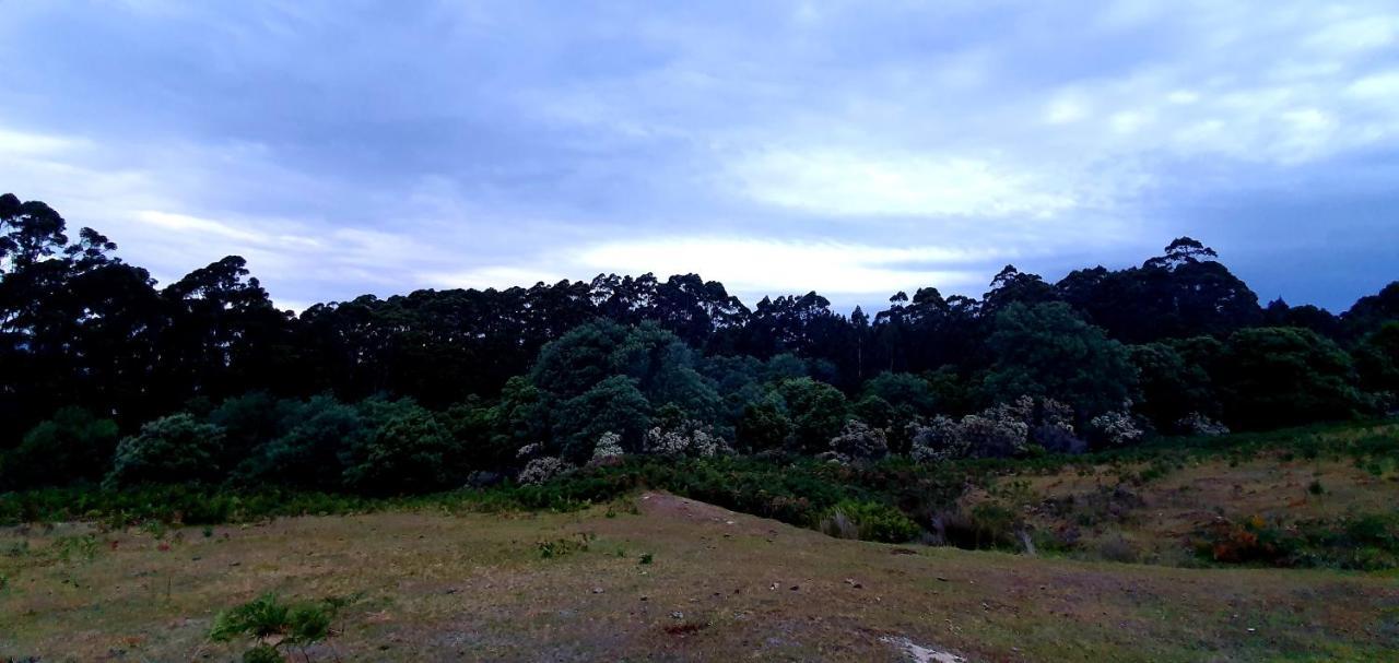 Ruby'S Cottage Farm Stay Port Arthur Εξωτερικό φωτογραφία