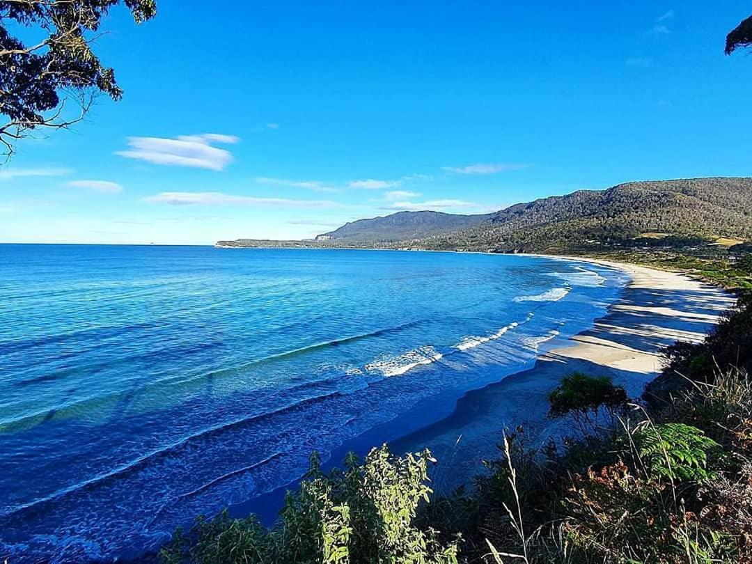 Ruby'S Cottage Farm Stay Port Arthur Εξωτερικό φωτογραφία