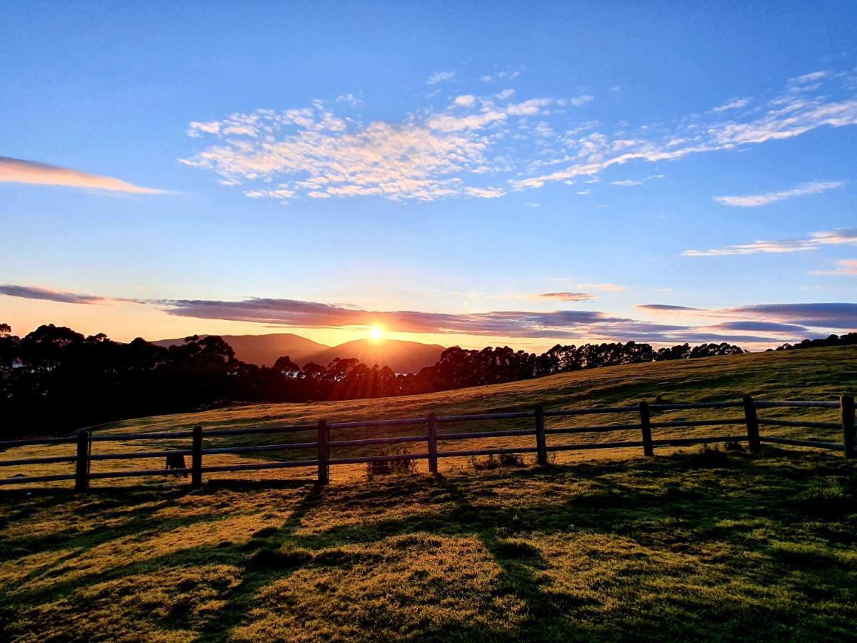 Ruby'S Cottage Farm Stay Port Arthur Εξωτερικό φωτογραφία