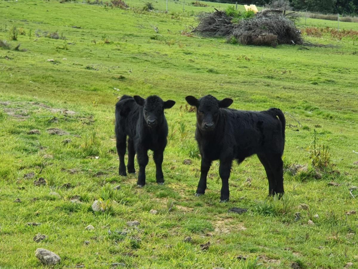 Ruby'S Cottage Farm Stay Port Arthur Εξωτερικό φωτογραφία
