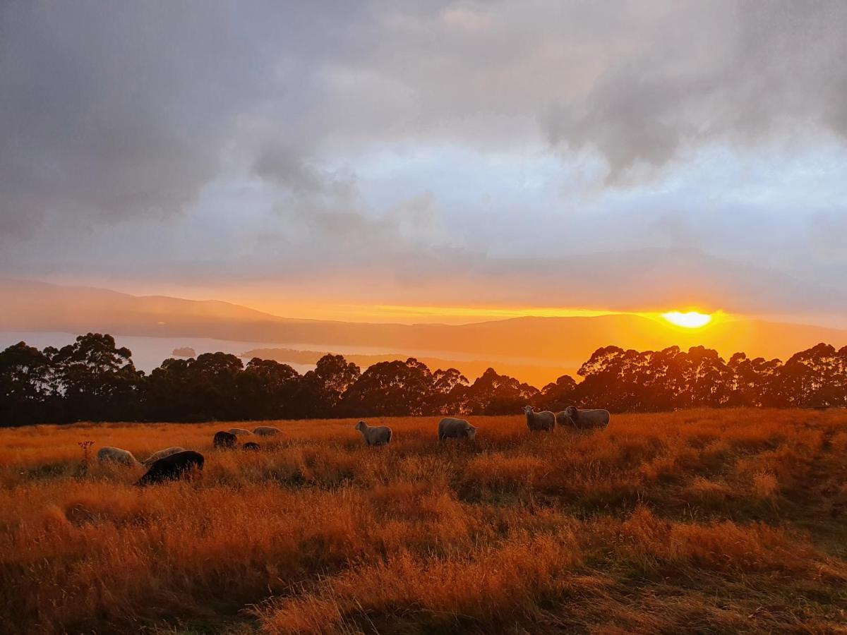 Ruby'S Cottage Farm Stay Port Arthur Εξωτερικό φωτογραφία