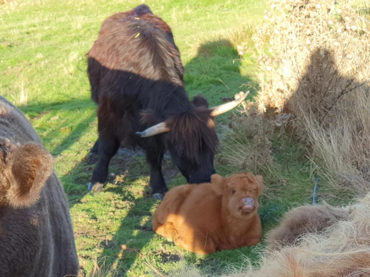 Ruby'S Cottage Farm Stay Port Arthur Εξωτερικό φωτογραφία