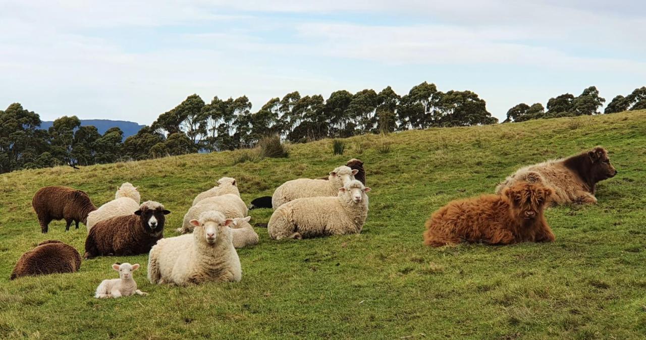 Ruby'S Cottage Farm Stay Port Arthur Εξωτερικό φωτογραφία