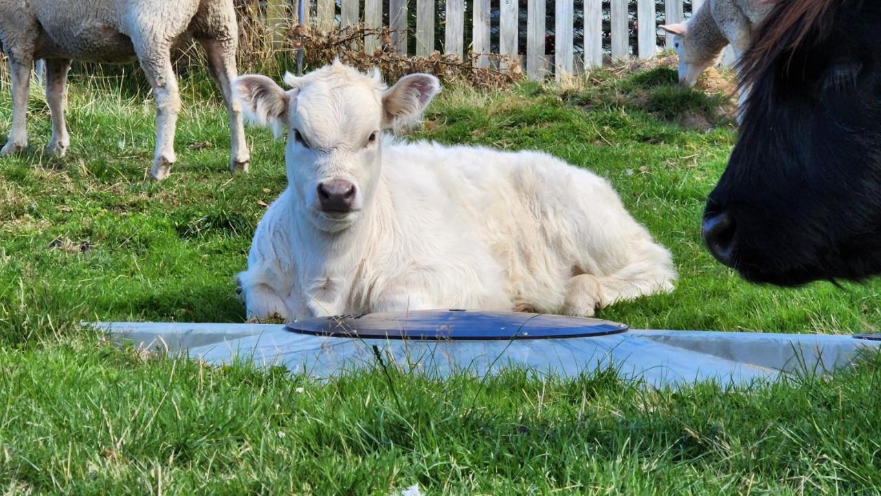Ruby'S Cottage Farm Stay Port Arthur Εξωτερικό φωτογραφία