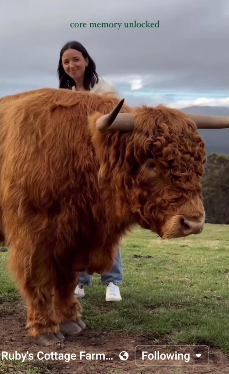 Ruby'S Cottage Farm Stay Port Arthur Εξωτερικό φωτογραφία